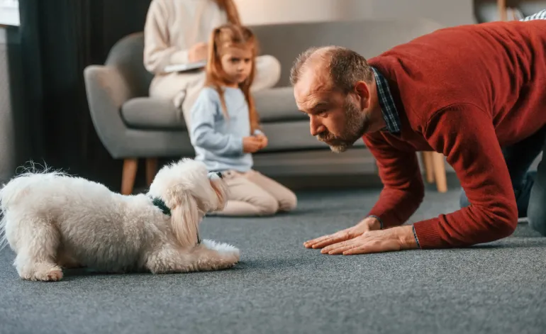 Carpet-Pet-Treatment-in-San-Antonio-TX