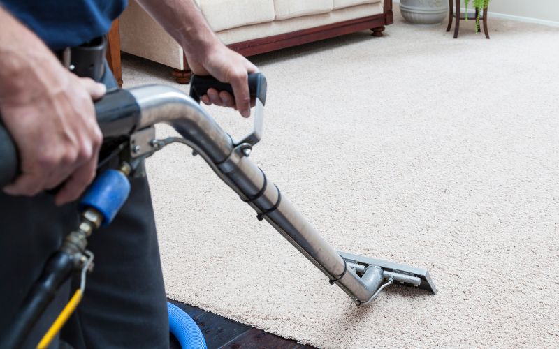 professional san antonio carpet cleaning services